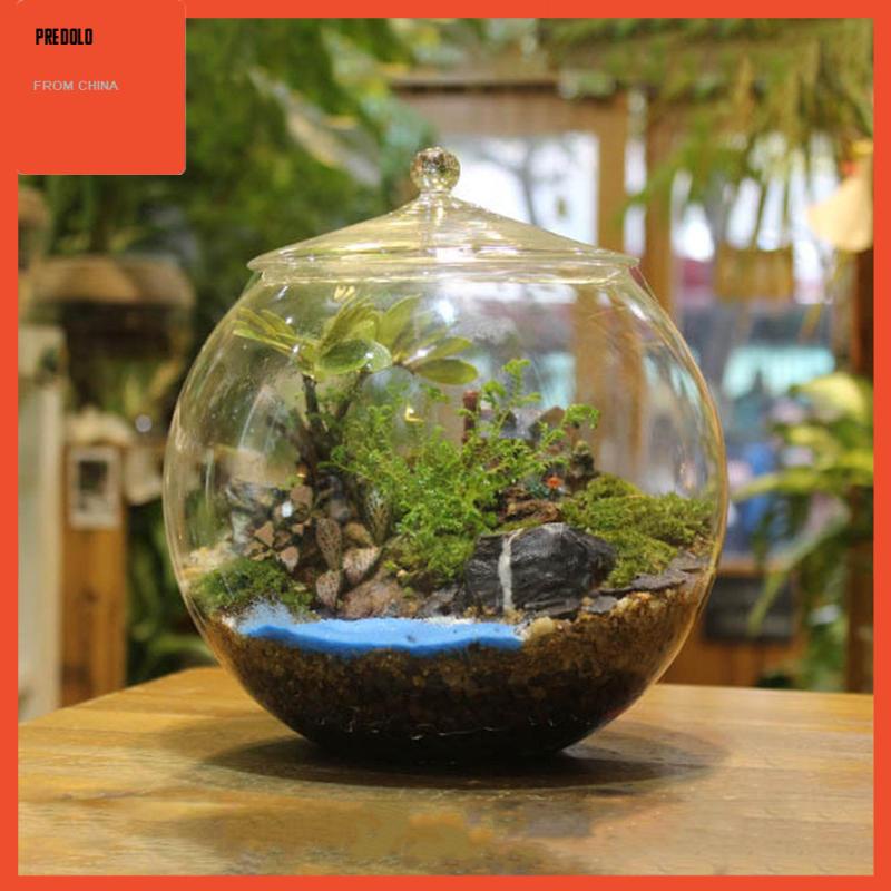 [Predolo] Planter Jar Sealed Storage Jar Terrarium Kaca Hias Untuk Gula Teh