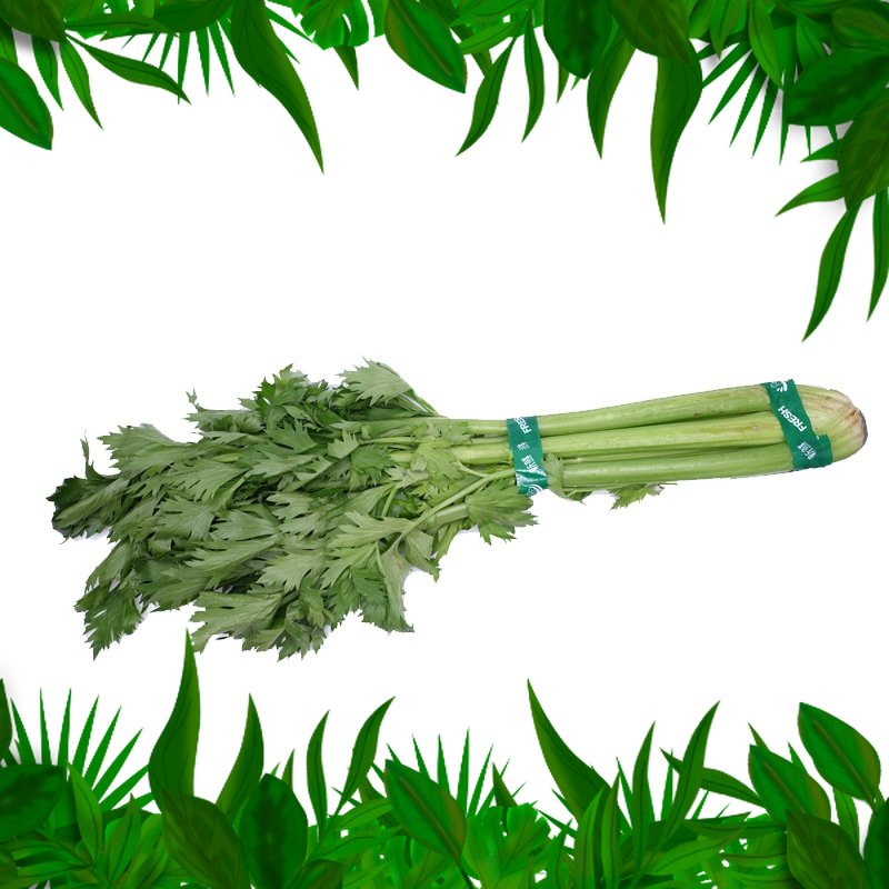 

Sayur Fresh Nuatara - Seledri besar 500 gr