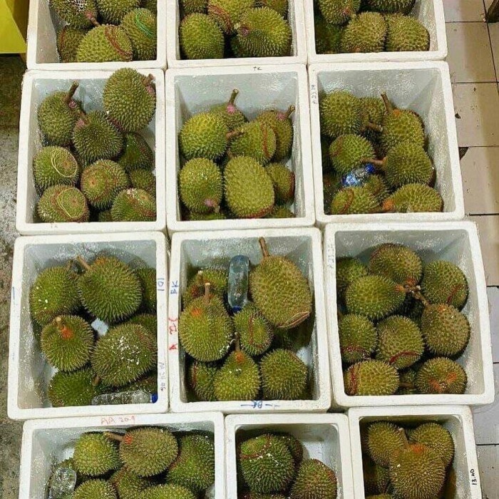 durian musang king fresh utuh Asli Malaysia / Musangking fresh utuh