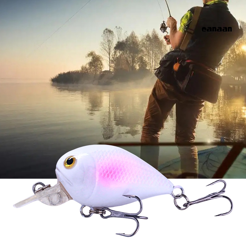 Cnn-5cm/5.5g 7CM/13.5G Umpan Bionik Desain Simulasi Tekstur Halus Kait Tajam 3D Realistis Fisheye Warna Cerah Memancing Ringan Bionic Engkol Little Fatty Lure Untuk Memancing