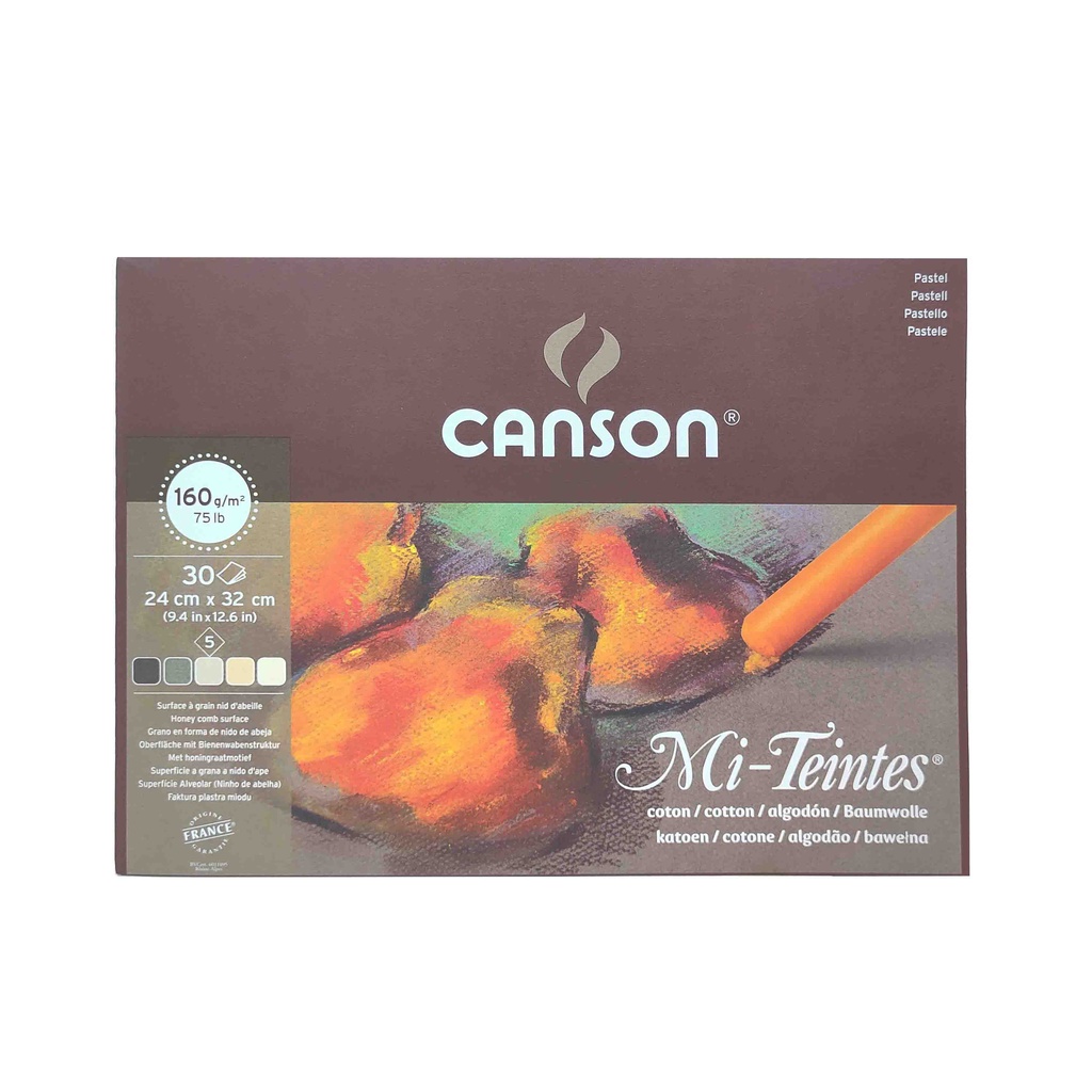 

Canson Mi-Teintes Kertas Gambar Lukis Bertekstur Assorted Earth Tones 160gsm 24x32cm