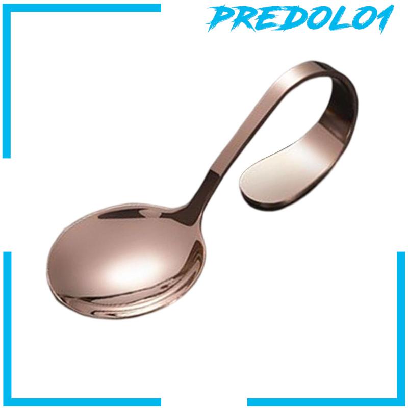[Predolo1] Sendok Saji Sendok Sup Serving Spoon Tasting Spoon Sendok Stainless Steel