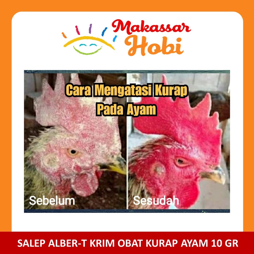 Salep Albert Alber-T Krim Obat Kurap Koreb Jamur Ayam Bangkok Burung