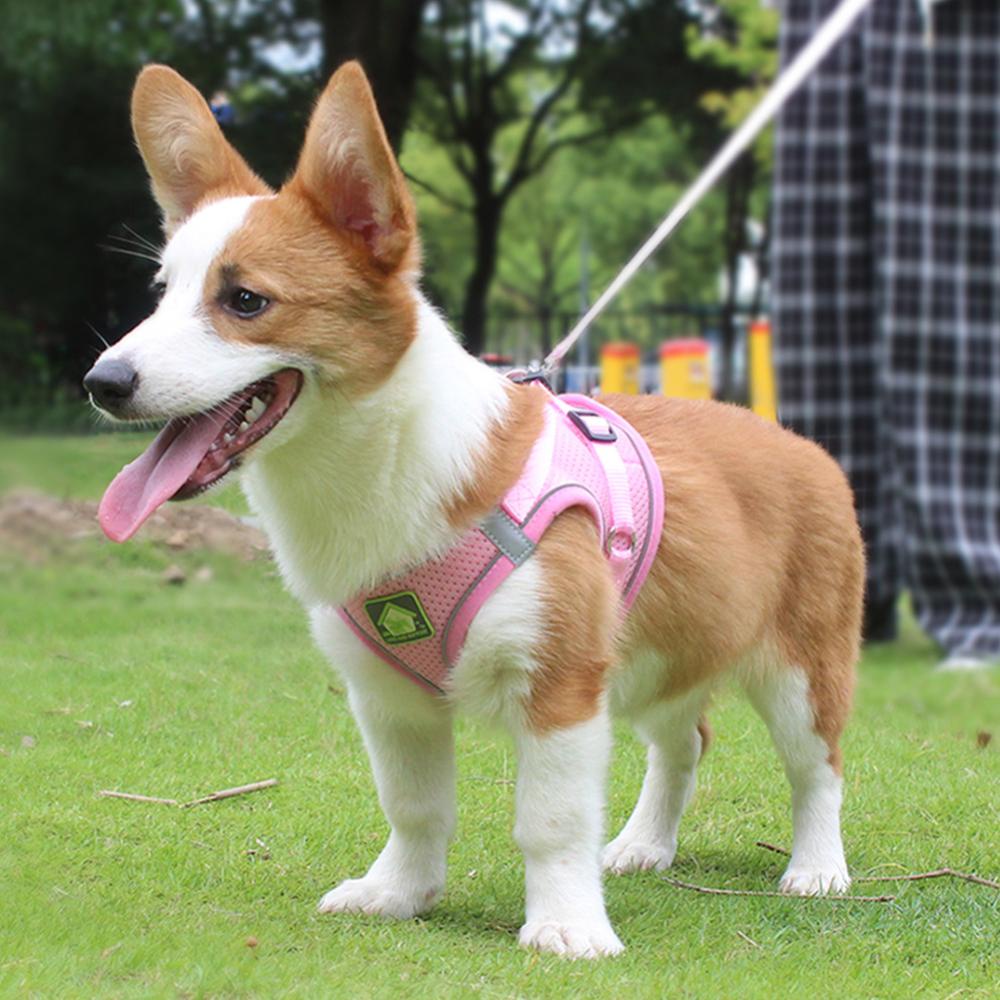 Timekey Dog Cat Harness Set Pet Rompi Reflektif Berjalan Dapat Disesuaikan Dengan Tali Harness Mesh Breathable Untuk Anjing Kecil Sedang A8C7