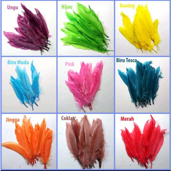 Hiasan Bulu Ayam Warna-warni isi 10 pcs / Bulu ayam 10pcs Warna / Hiasan Kerajinan Bulu