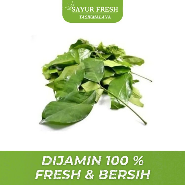 

Sayur daun melinjo ( tangkil ) per bungkus - SAYUR FRESH TASIKMALAYA