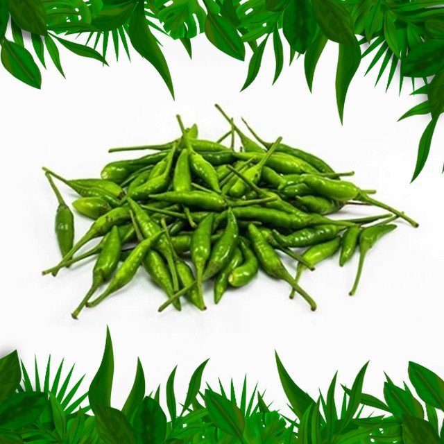 

SAYURAN FRESH NUSANTARA - CABE RAWIT IJO