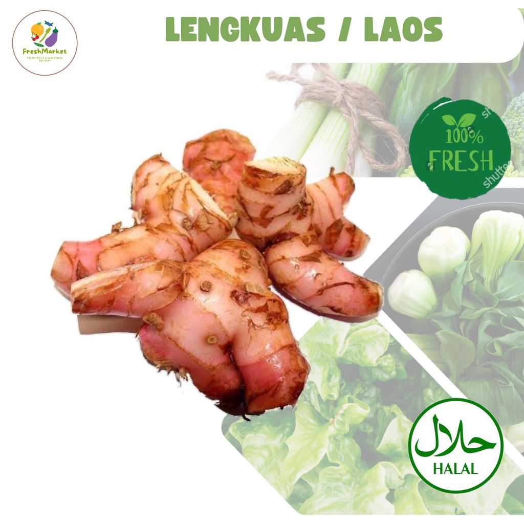 

Laos Lengkuas Bumbu Dapur Segar 250 Gram Freshmarketlampung
