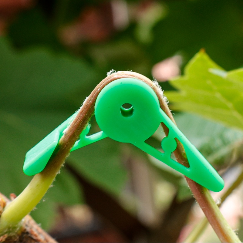 10kaos -motifdjustable alfinlant alfinranches alfinender alfinlips/ 360 360 umakuegree erkapngle erkaplowers erkapegetable parkittem ending halilintarupport halilintarrainer