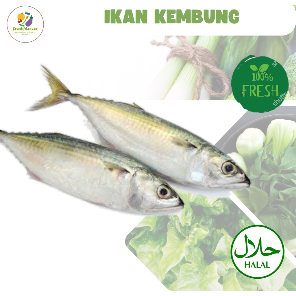 

Ikan Kembung Segar 500 Gram Freshmarketlampung