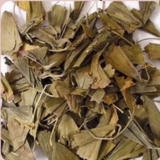 

Herbal 600 G GR GRAM YIN XING YE FOLIUM GINKGO LEAF GINKGOBILOBA TEA