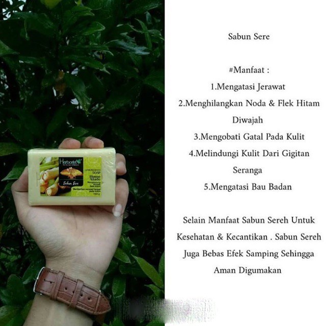 HERBORIST Sabun Batang Bar Soap 80gr | 160gr - Sere Lemongrass Beras Zaitun Aloe - BPOM