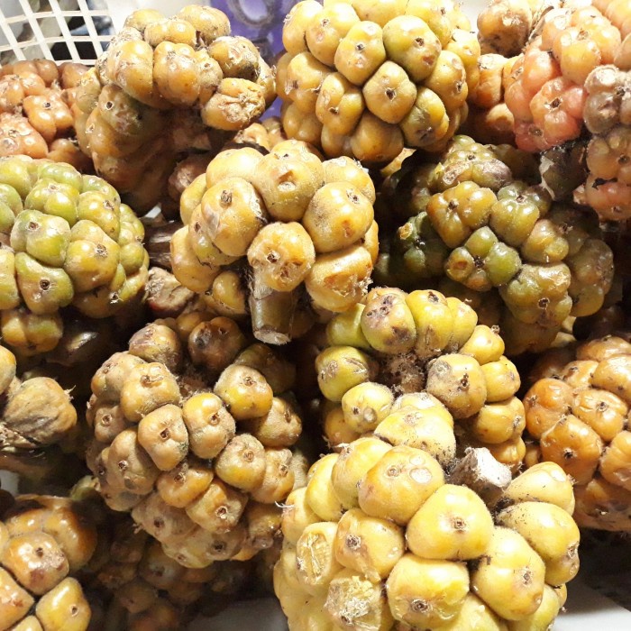 

[Ready-Stock]Terjangkau Asam Cikala Cekala / Sikala Medan -1KG