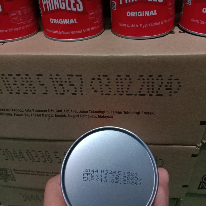 

Pringles 42 Gram 1 Dus