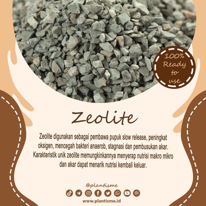 Green Zeolite | Media Tanam Mix Batu Kerikil Steril Kaktus Succulent - 500gram