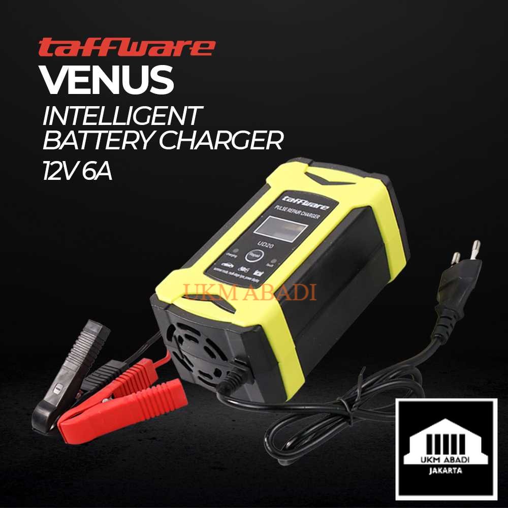 Intelligent Battery Charger Aki Mobil 12V 6A UD20