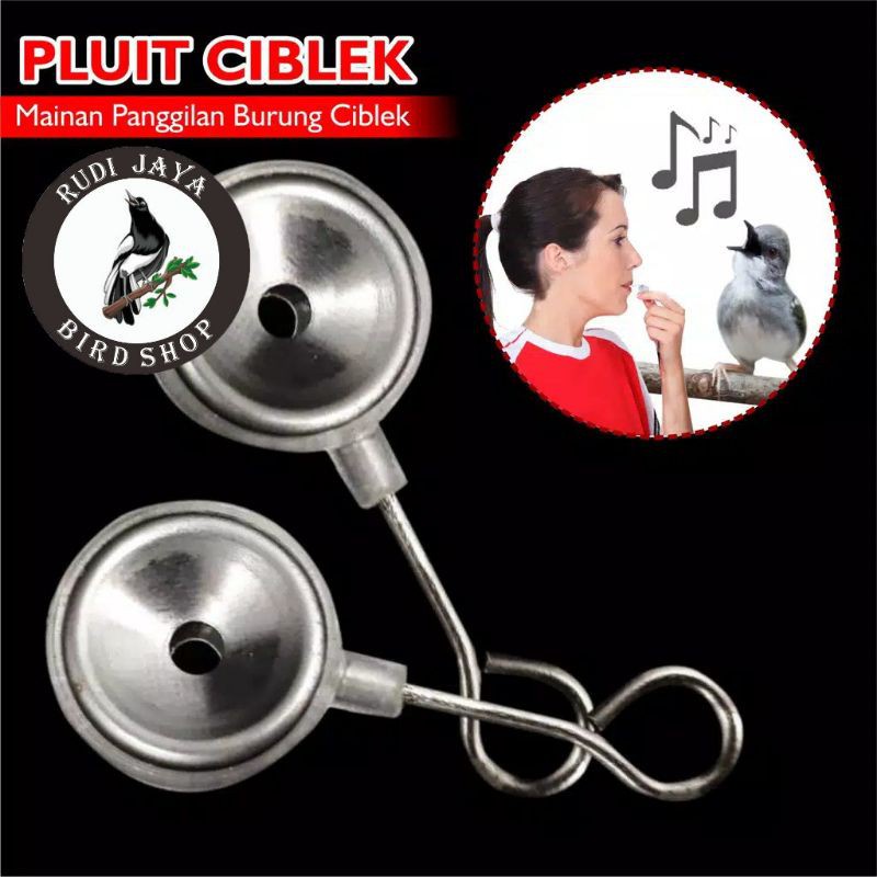 JUAL Rudi Jaya PLUIT MAINAN PANGGILAN BURUNG KICAU SEMANTI BIRDSHOP DIJAMIN ASLILANGSUNG DISTRIBUTOR