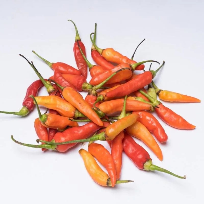 

FCW Jakbar - Cabai Rawit Merah Super 250 Gram
