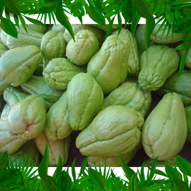 

SAYURAN FRESH NUSANTARA- LABU SIAM 1pcs