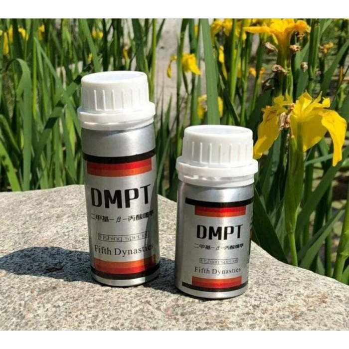 DMPT JAPAN ORIGINAL WS