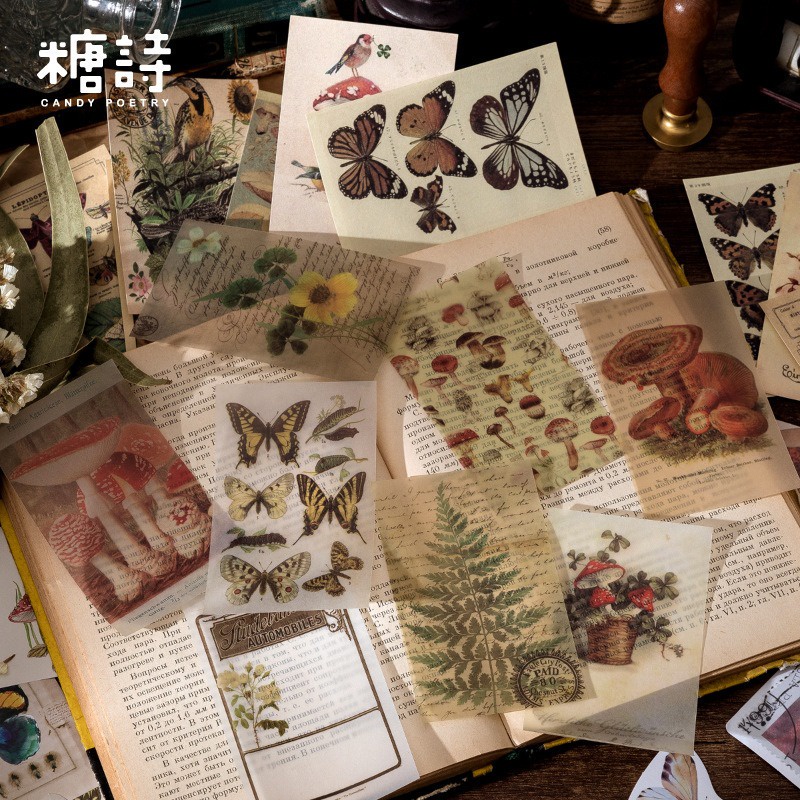 

60pcs Vintage Boxed Stickers Candy Poetry for Scrapbooking Journal School Supplies Creative Stationery DIY Deco Sticker Stiker Bujo Deco Scrapbook Journaling Kertas 3