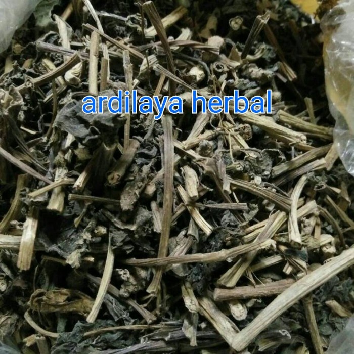 

binahong kering 1 kg 100% ASLI