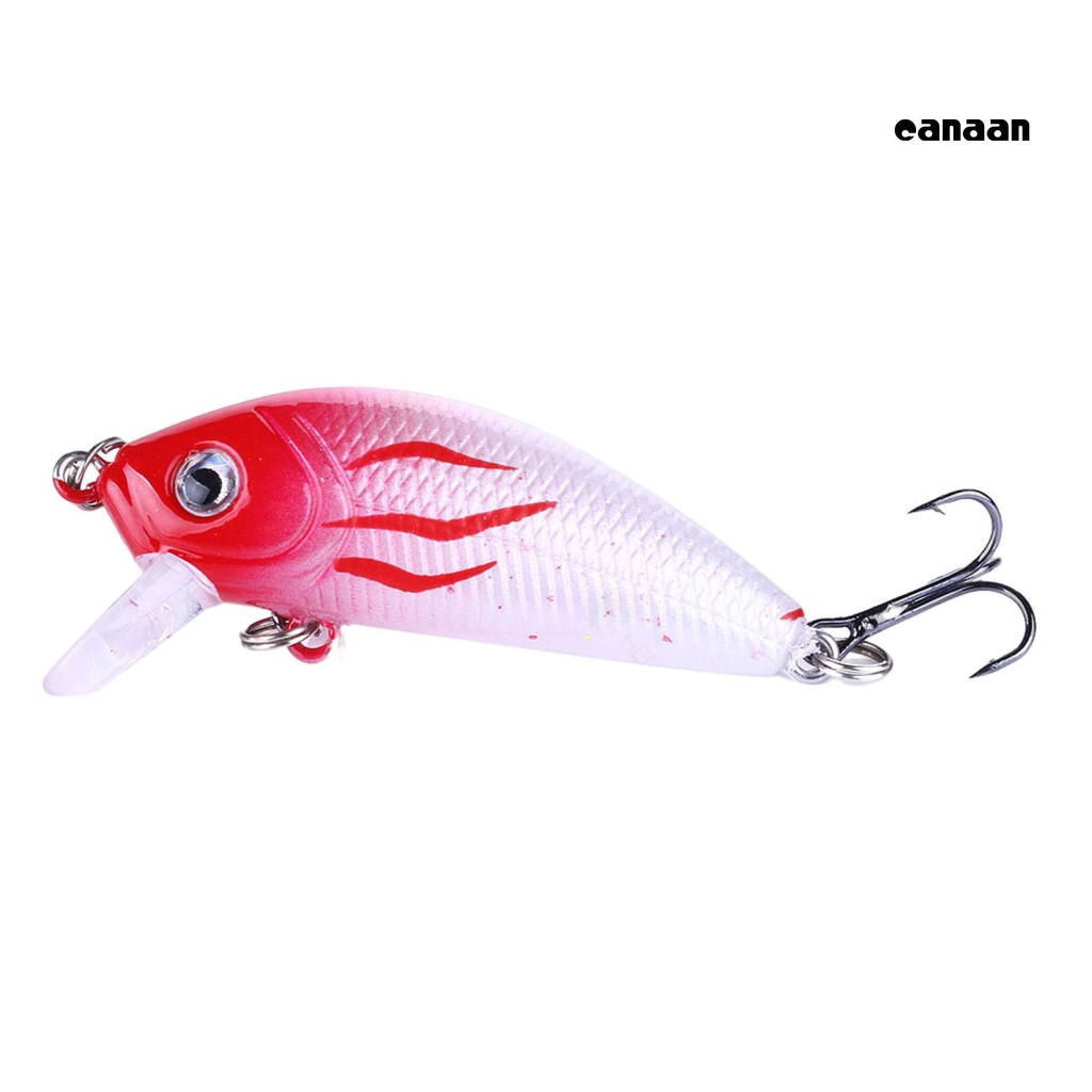 Cnn-5cm/3.6g Ikan Kecil Lure 3D Simulasi Fisheye Treble Hook Menggoda Culter Alburnus Bass Lure Memancing Luar Ruangan