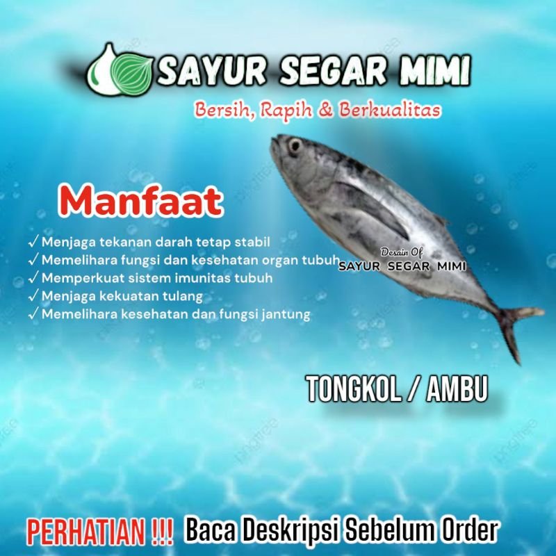 

Ikan Tongkol dan Semua Ikan Laut - Sᴀʏᴜʀ Sᴇɢᴀʀ ♏ɪᴍɪ