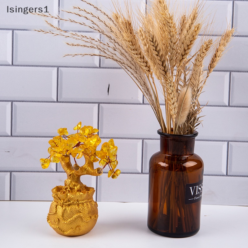 [lsingers1] Pohon Uang Kristal Alami Pohon Keberuntungan Feng Shui Money Tree Home Decor Boutique