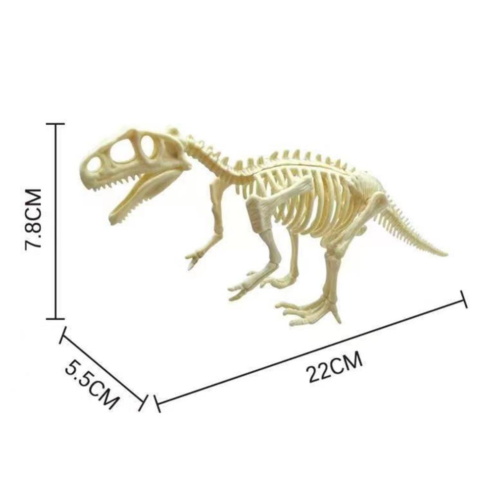 Timekey Simulasi Fosil Dinosaurus Model Kerangka Plastik Anak DIY Handmade Dinosaur Skeleton Majelis Kit Tiranosaurus Rex Model A9B4