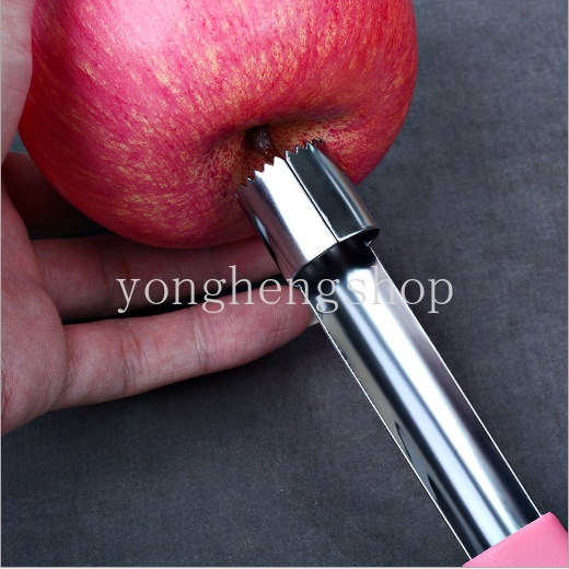 Kreatif Stainless Steel Pear Apple Corer Bibit Buah Pitter Remover Separator Stoner Gadget Dapur Warna Acak