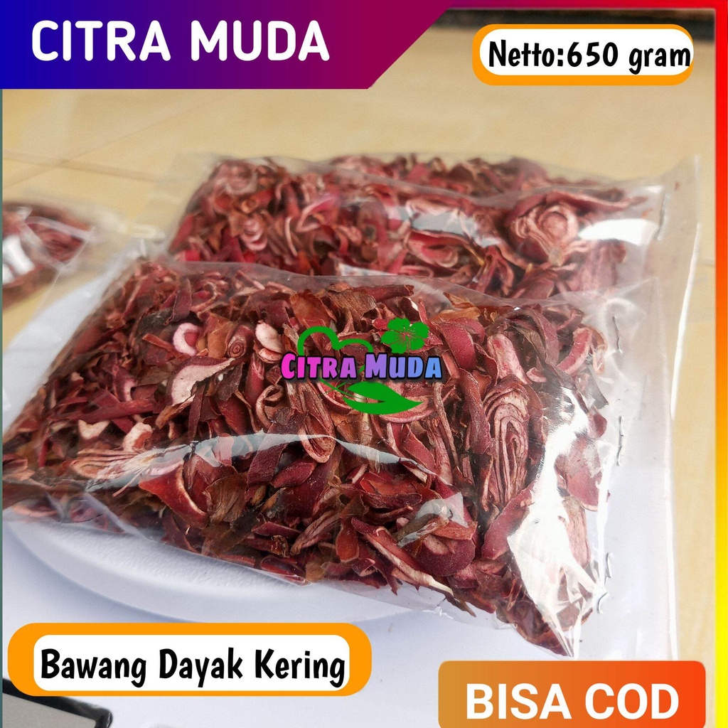 

Bawang Dayak kering 650gram Mantap bisa Cod