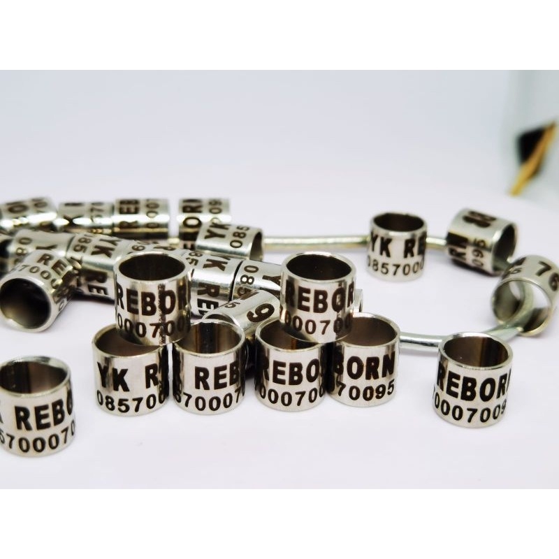 RING BURUNG MERPATI Puter pelung murai