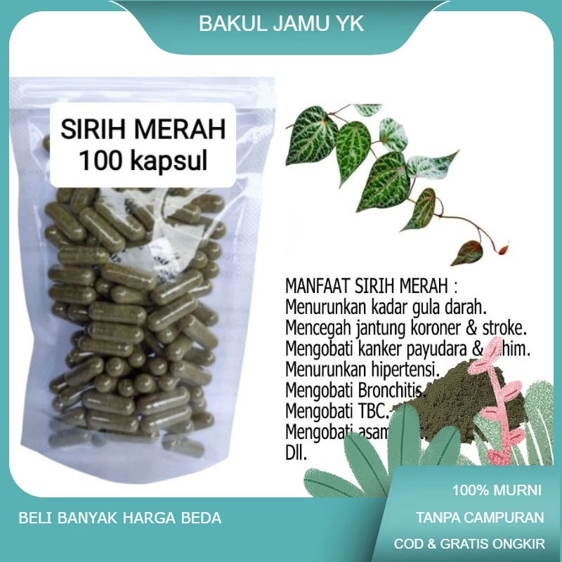 

SIRIH MERAH isi 100 kapsul untuk peradangan bronkitis
