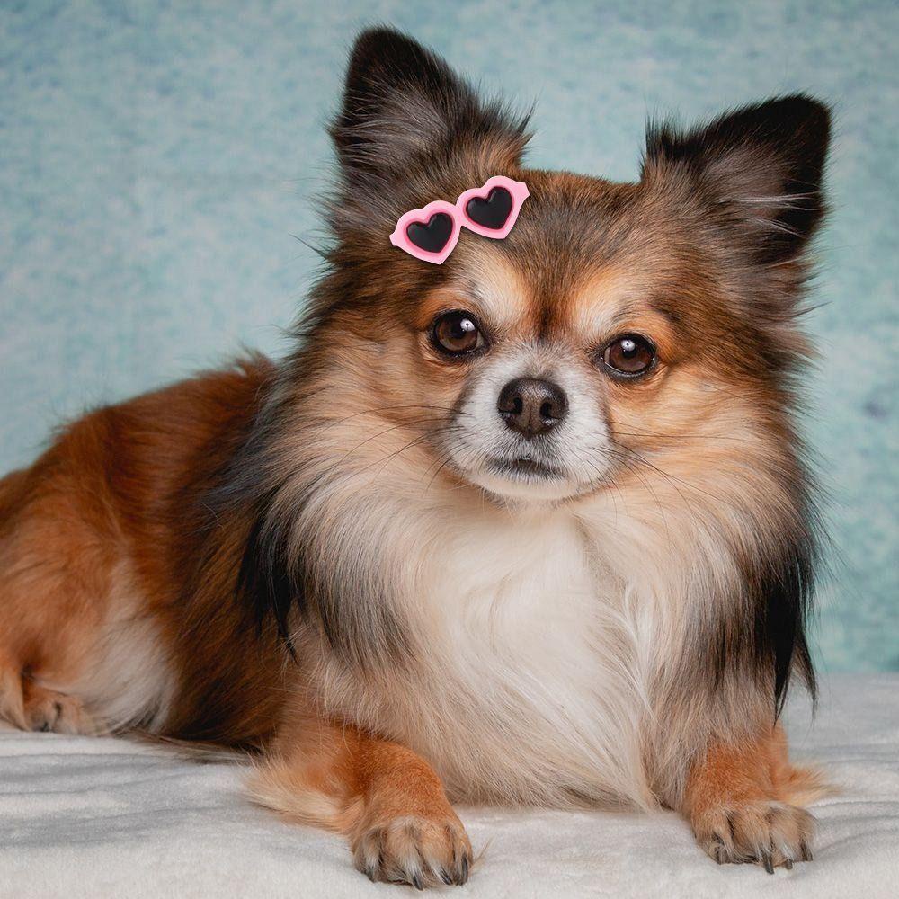 Fishstick Jepit Rambut Anjing Mini2023Mata Hitam Bentuk Hati Warna-Warni Untuk Mengambil Foto Gadis Hair Barrette