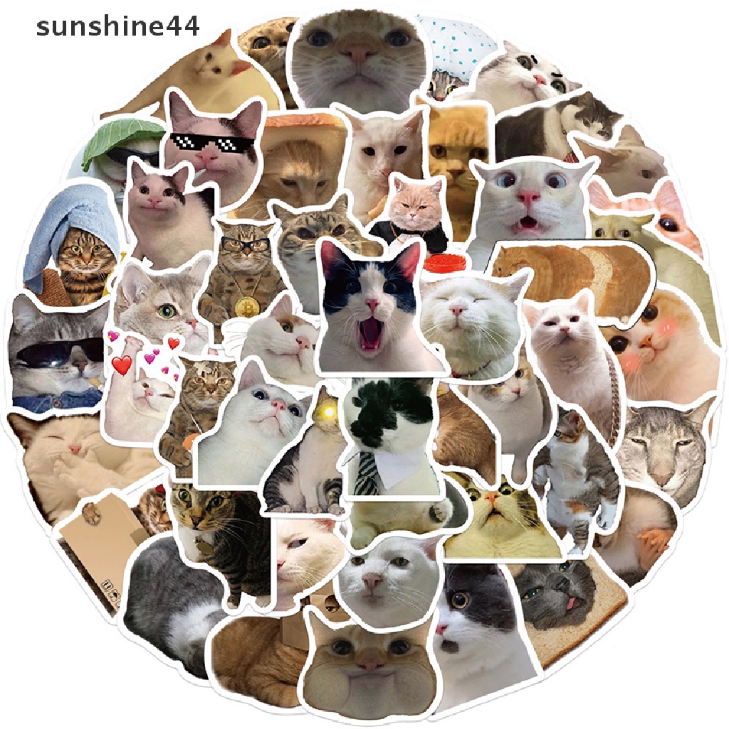 Sunshine 50pcs Stiker Hewan MEME Kucing Mainan Graffiti Decals Untuk Anak Notebook Laptop ID