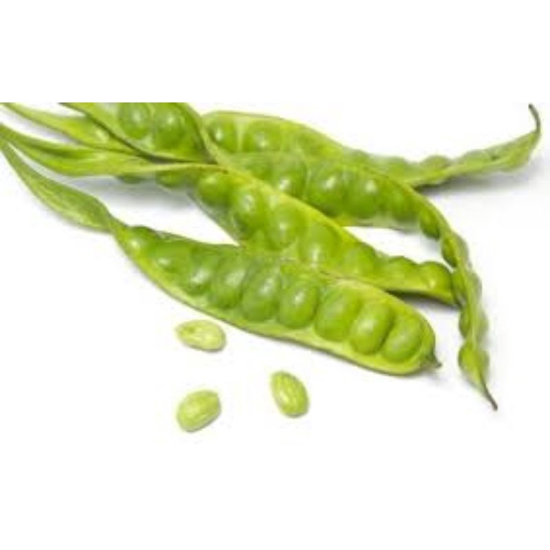 Pete 1 Papan / Petai Segar