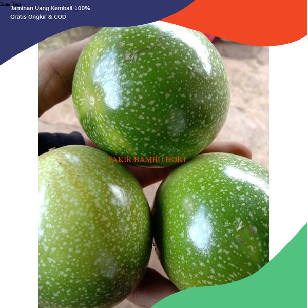 

PROMO MARKISA HIJAU SEGAR RASA ASAM MANIS 1 kg TERMURAH