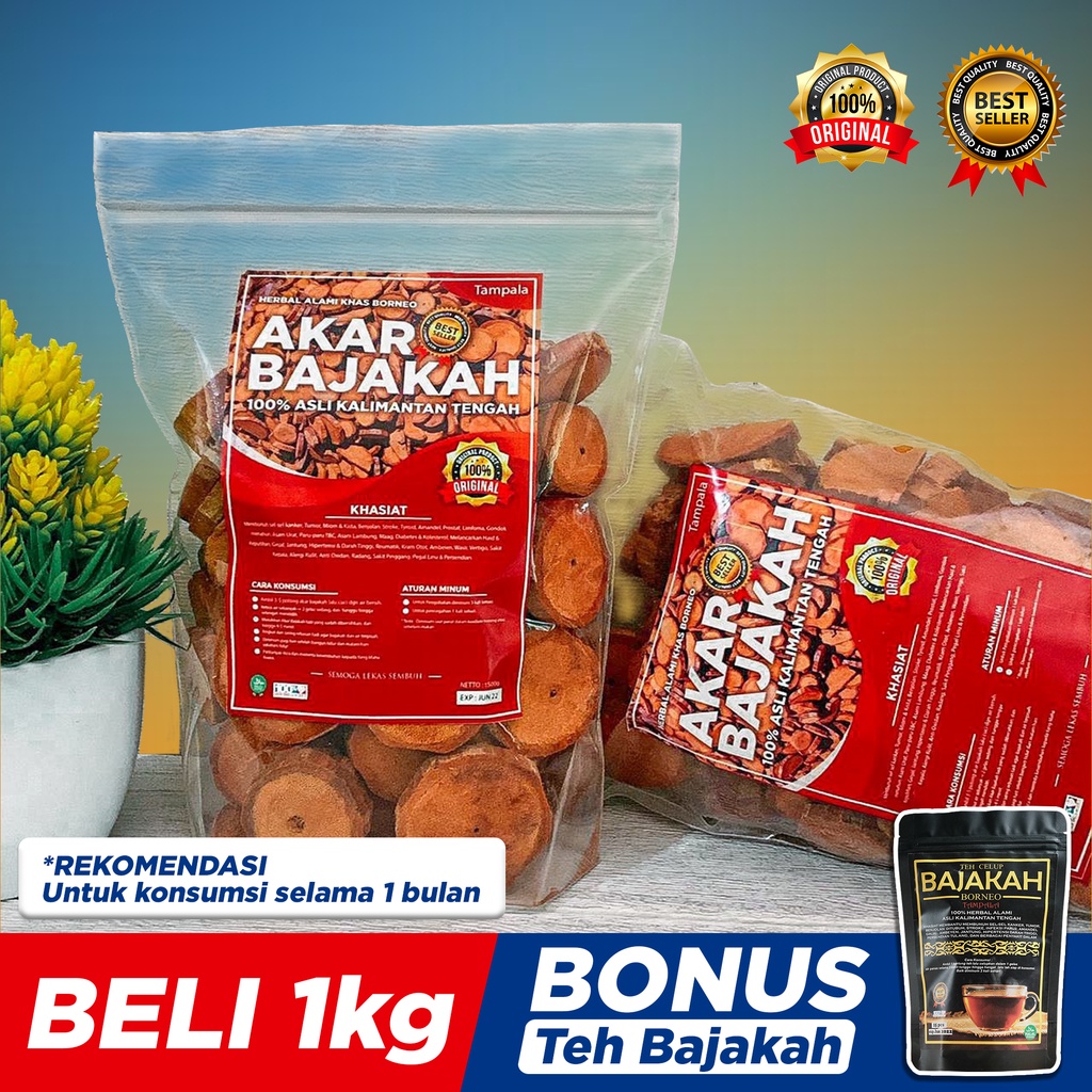 

1Kg Akar Kayu BAJAKAH TAMPALA MERAH Siap Seduh Obat Tumor dan Kanker 100%Asli Kalimantan