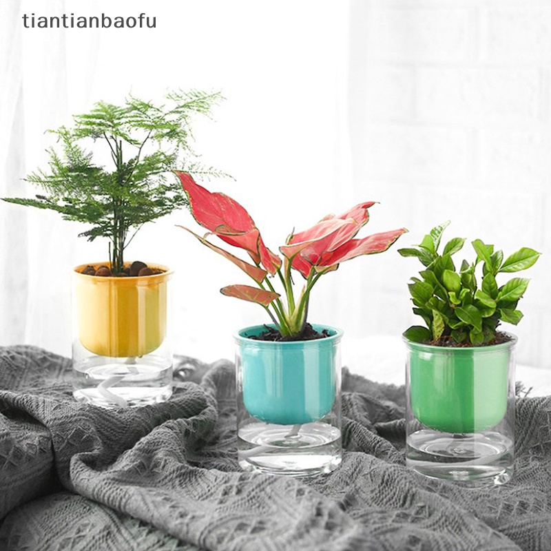 [tiantianbaofu] Pot Bunga Gentong Air Vas Wadah Tabletop Plants Boutique