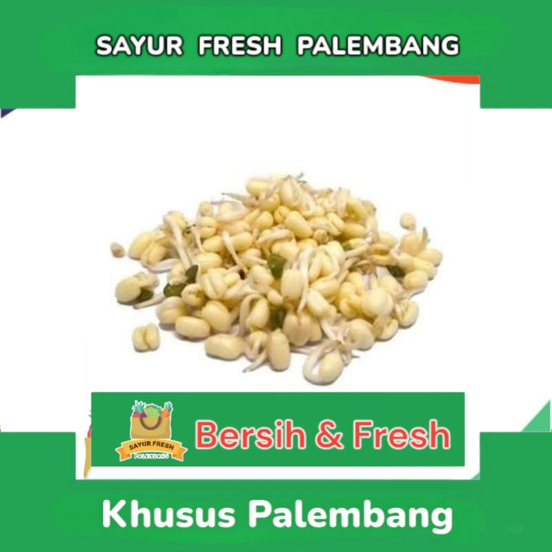 

Kecambah Soto / Toge Soto / Tauge Soto 100Gram - Sayur Fresh Pasar Perum