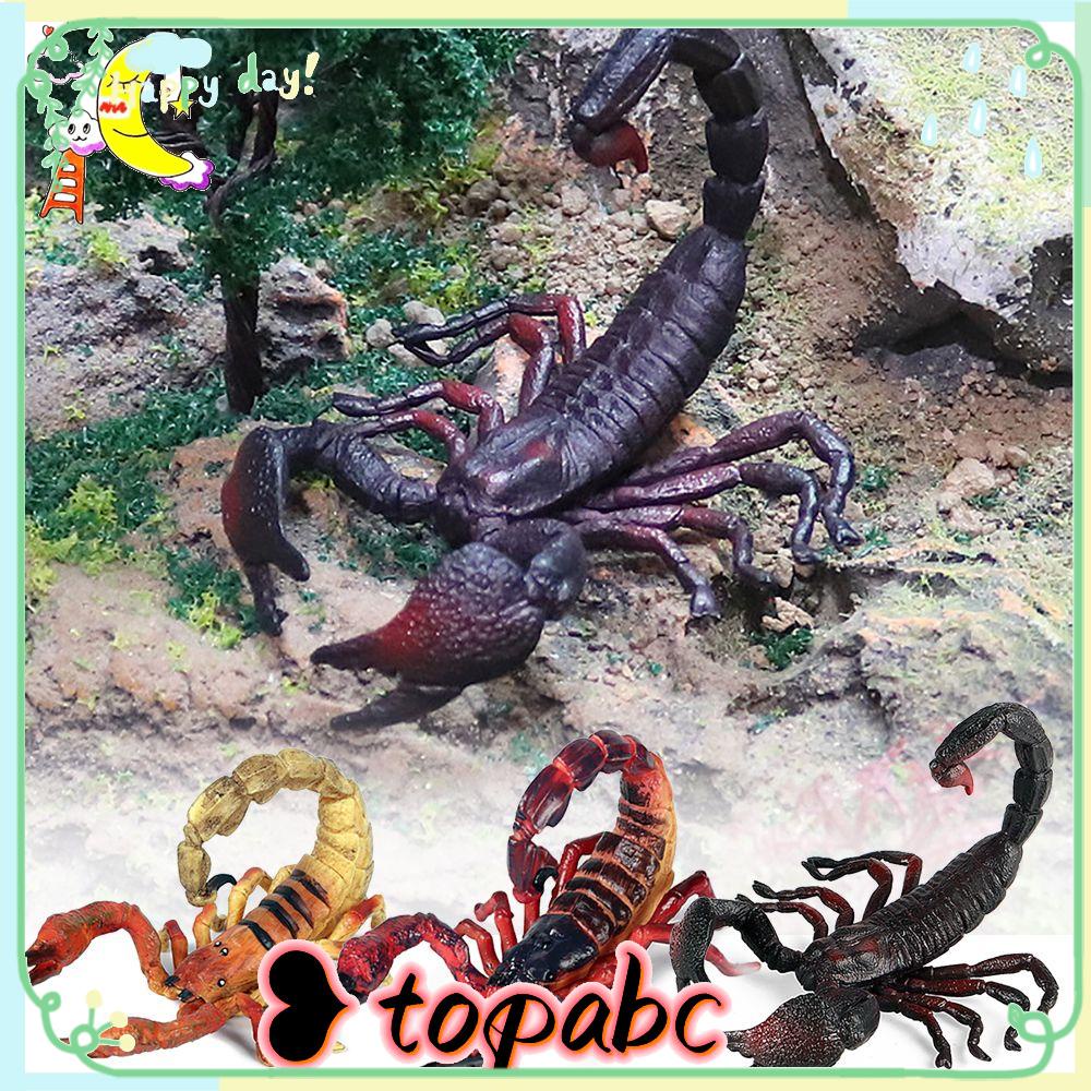 TOP Alat Peraga Prank Model Scorpion Pemandangan Alam Ilmu Membuat Perlengkapan Halloween