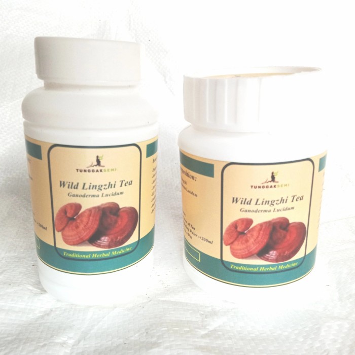 

Teh Lingzhi Merah Liar Kemasan Premium [ Ganoderma lucidum ]