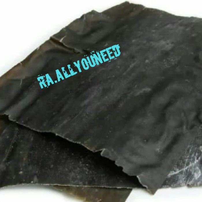 

Dashima Dasima Kombu Konbu Kelp / Dry seaweed per Pcs - 100 Gr
