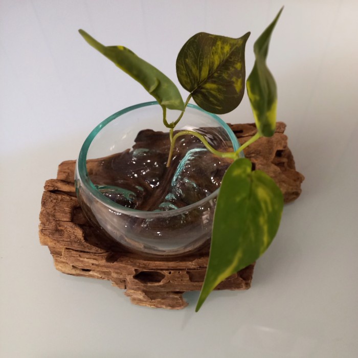 Leolle Pot Kaca Tiup Vas gepengTanaman Air Dekorasi  meja handmade Bali - Hadiah kado unik kerajinan
