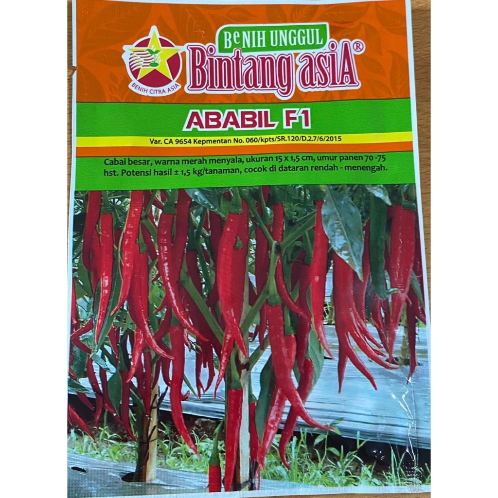 Benih Cabe besar ABABIL 10 gr F1 BINTANG ASIA