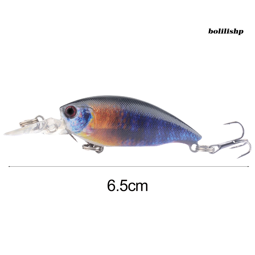 Bo-6.5cm/5.5g Umpan Pancing UV Dicetak Simulasi 3D Fisheye Wobbler Kait Tajam Mencegah Pelarian Universal Air Tawar Laut Memancing Buatan Bass Keras Umpan Perlengkapan Memancing