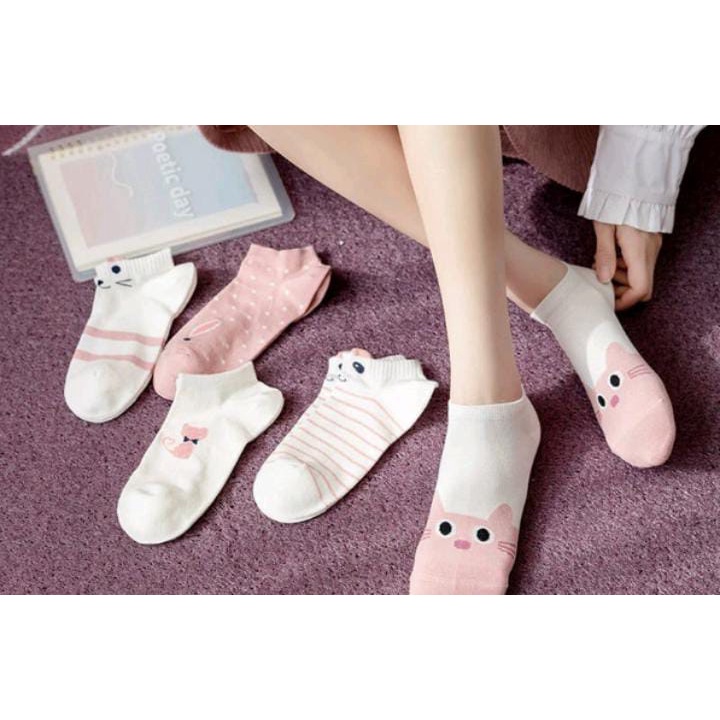 Kaos Kaki Wanita Motif Kucing Kitty Lucu K26 Kaoskaki Fashion Korea Women Sock Import