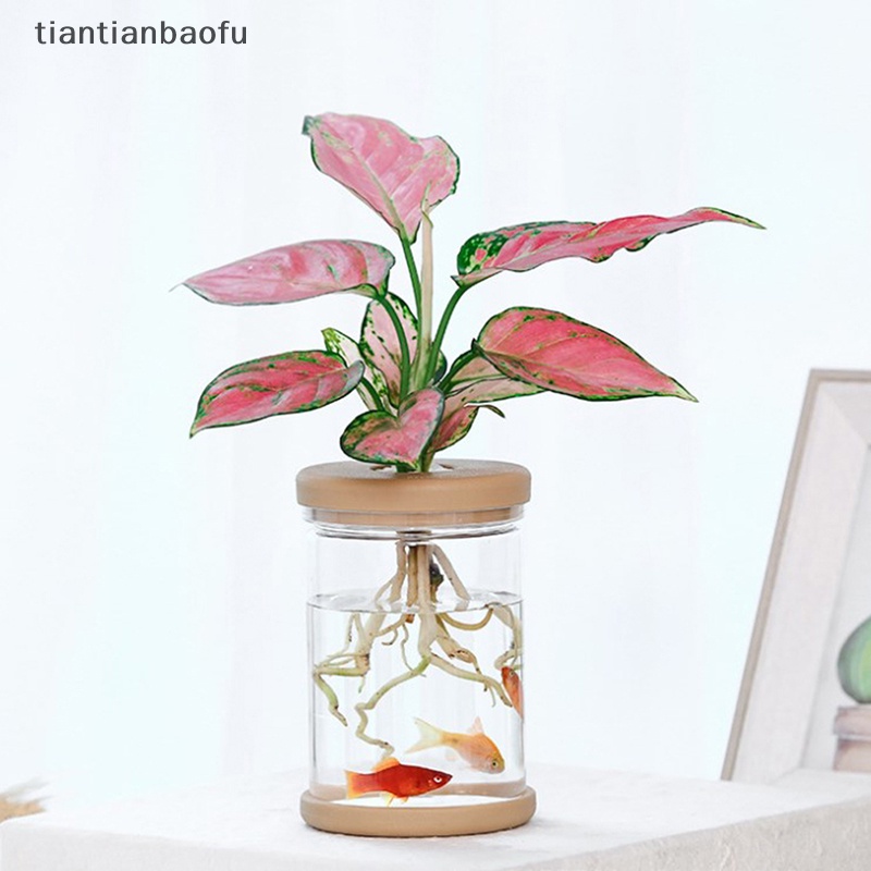 [tiantianbaofu] Pot Tanaman Plastik Vas Plang Air Plastik Transparan Stylish Container Butik