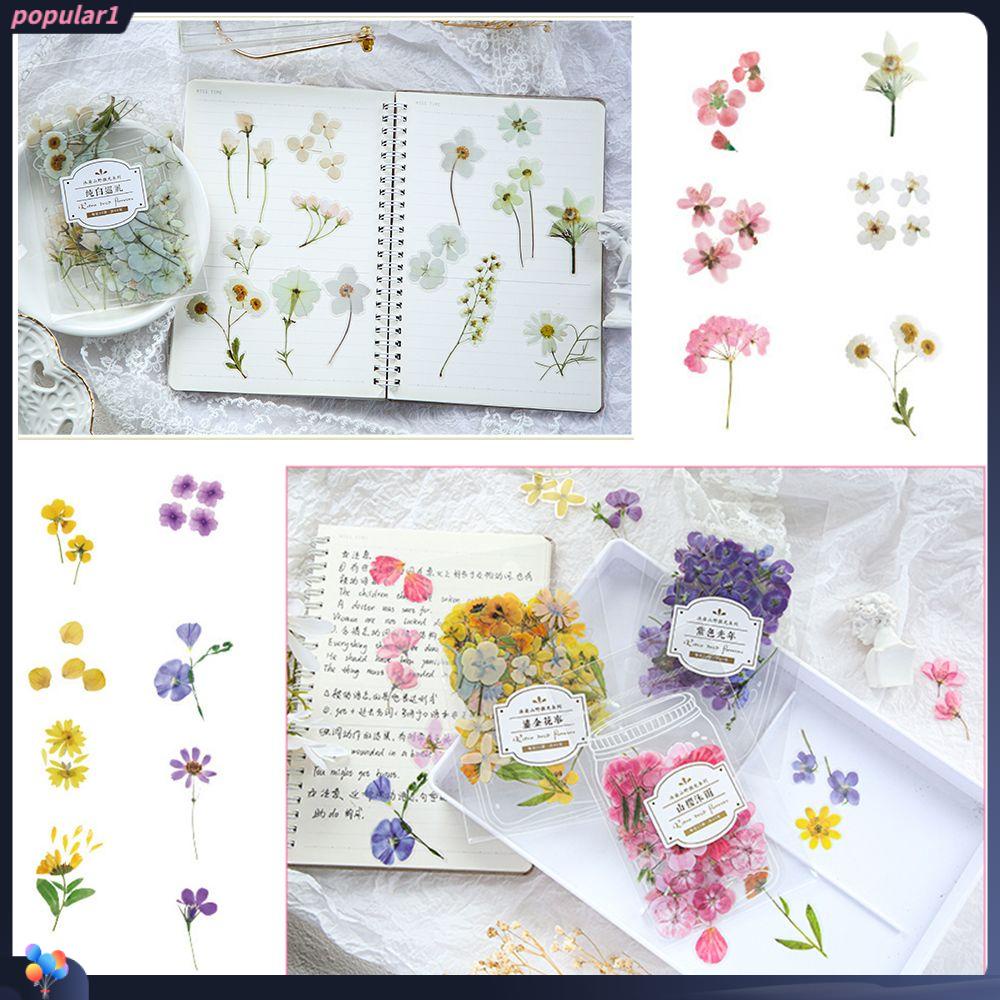 Populer 40pcs Bunga Daun Stiker Planner Scrapbooking DIY Ins Style Vintage Label